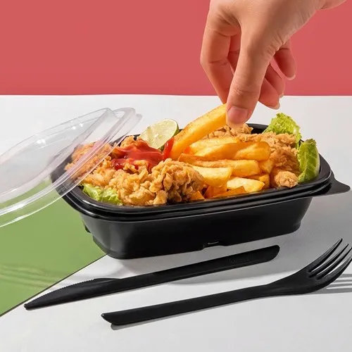 ظرف مایکروویو
